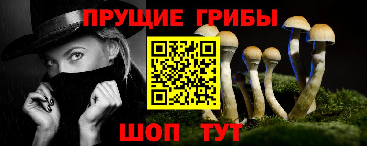 Галлюциногенные грибы ЛСД  Галлюциногенные грибы Psilocybe  Каменка  Вход с VPN 